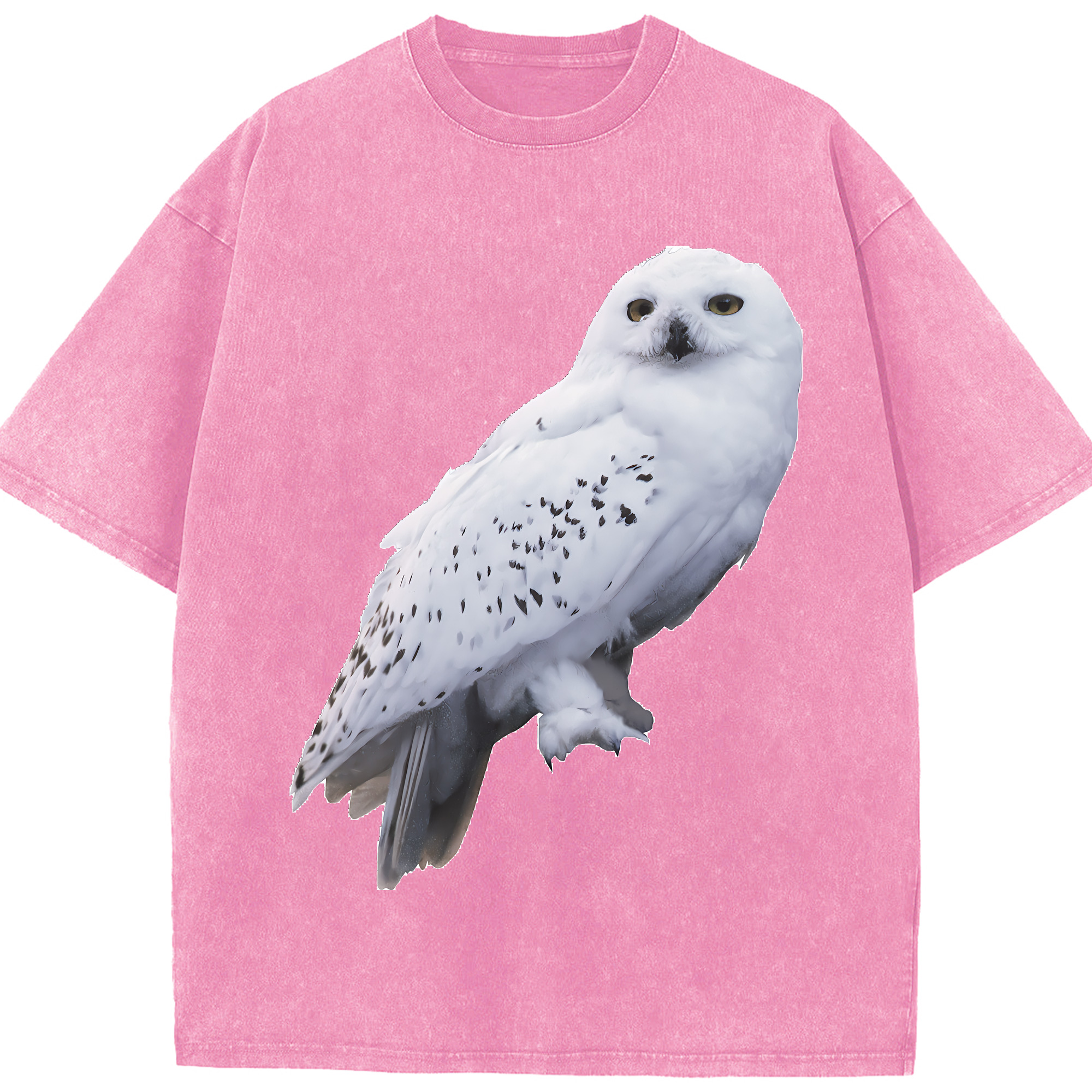 （画像用） Harry Potter ハリー・ポッターシリーズ 綿100% ヴィンテージ風 半袖Tシャツ（フロントプリント）